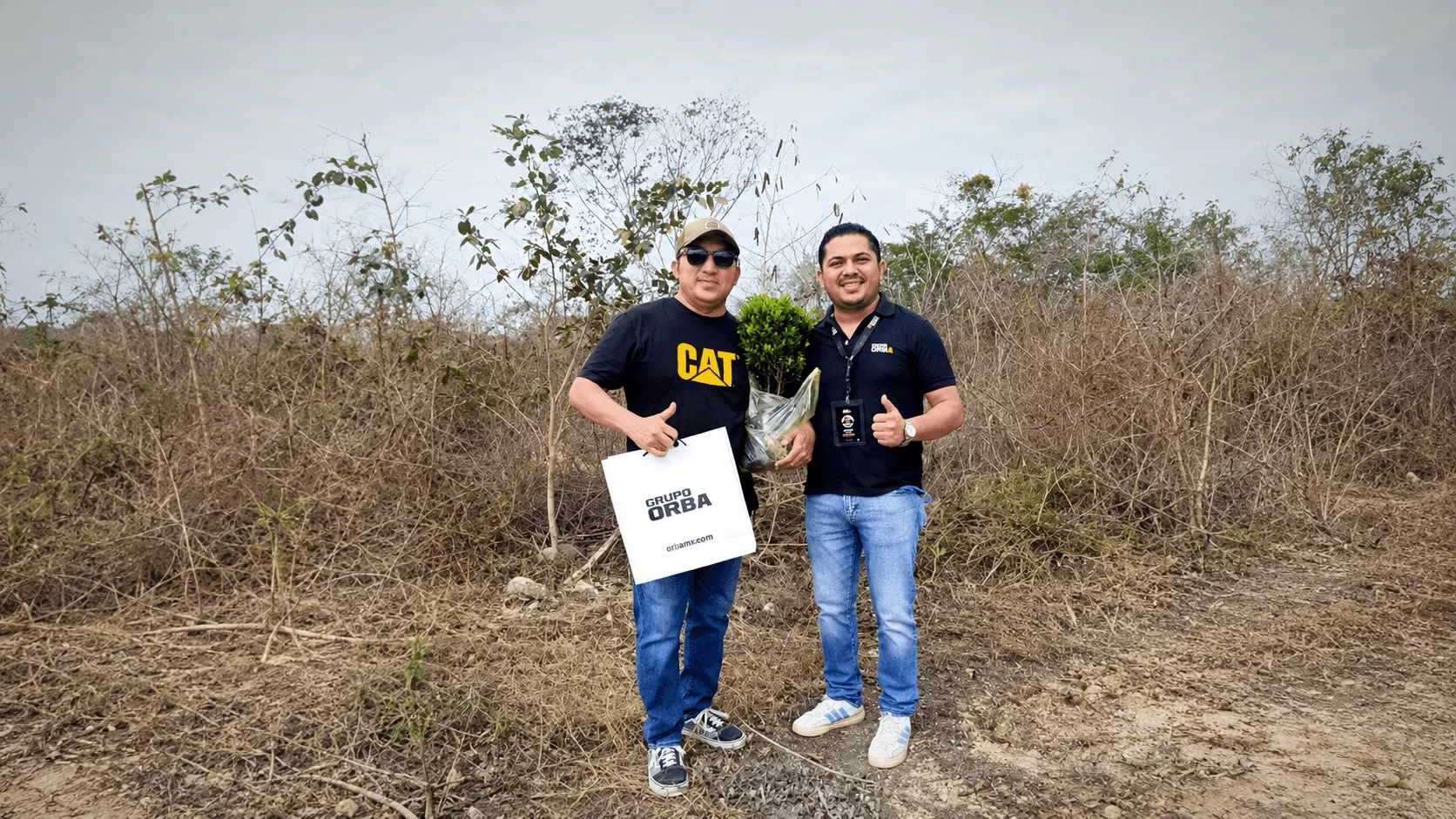 Proceso de compra IKTARIA